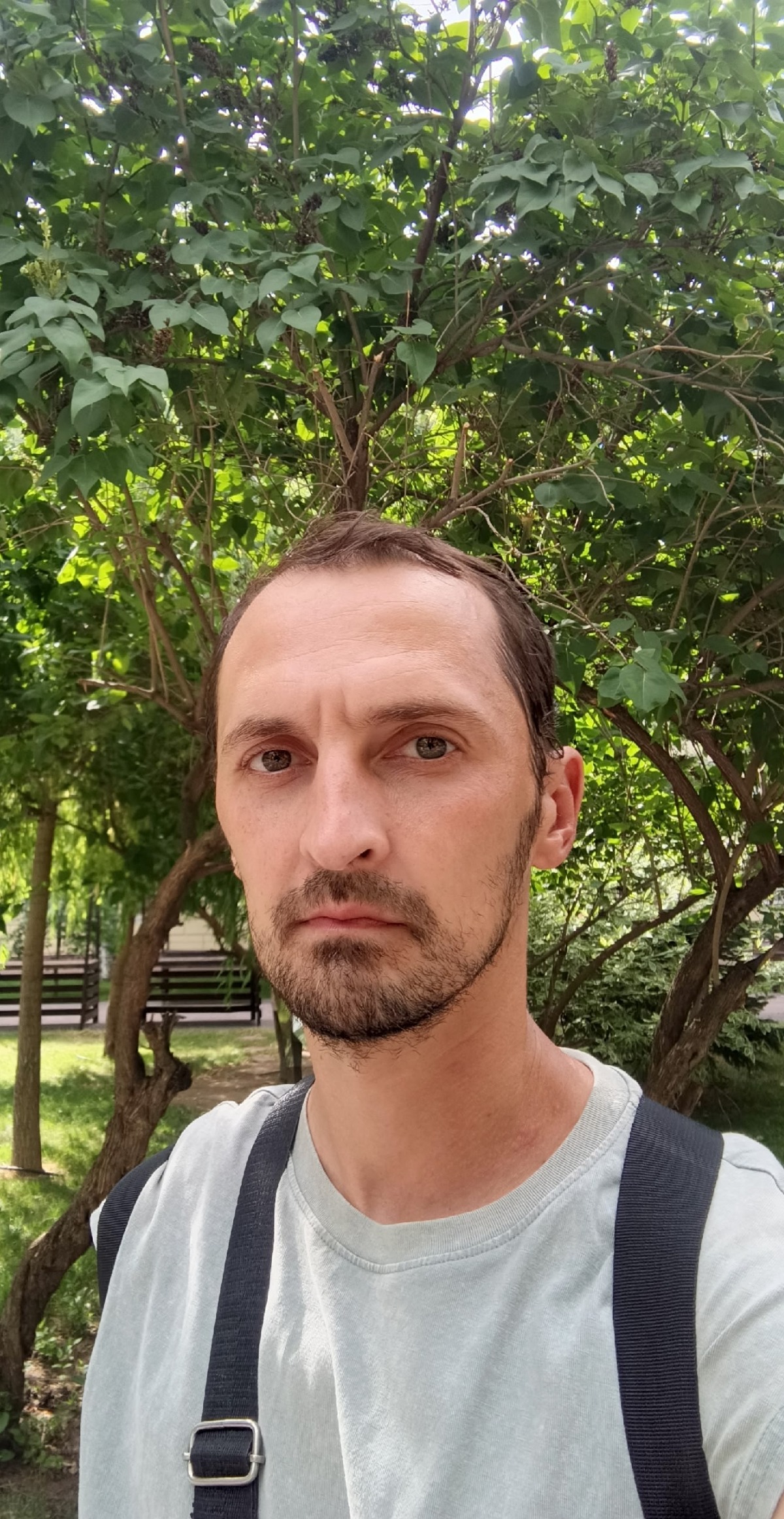Антон