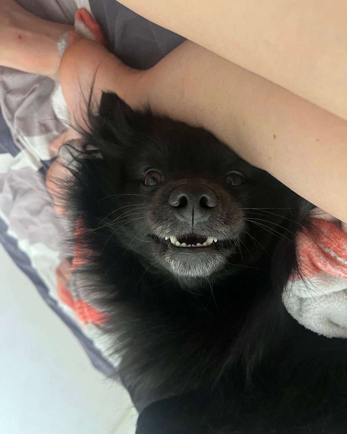 Яна